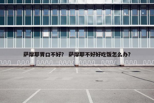 萨摩耶胃口不好？ 萨摩耶不好好吃饭怎么办？