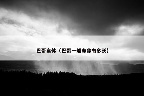 巴哥离休（巴哥一般寿命有多长）