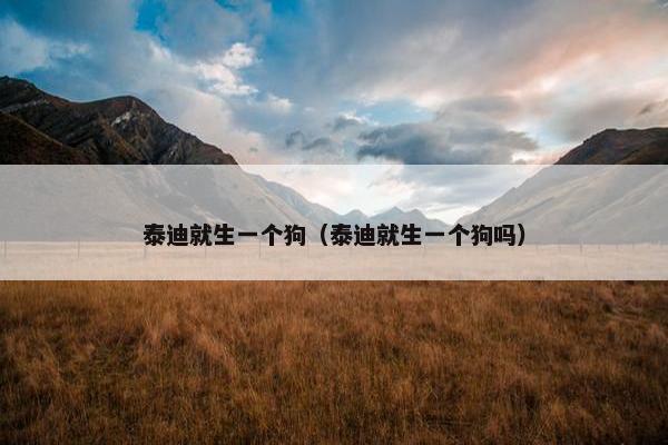 泰迪就生一个狗（泰迪就生一个狗吗）