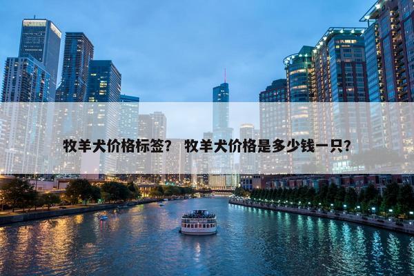 牧羊犬价格标签？ 牧羊犬价格是多少钱一只？
