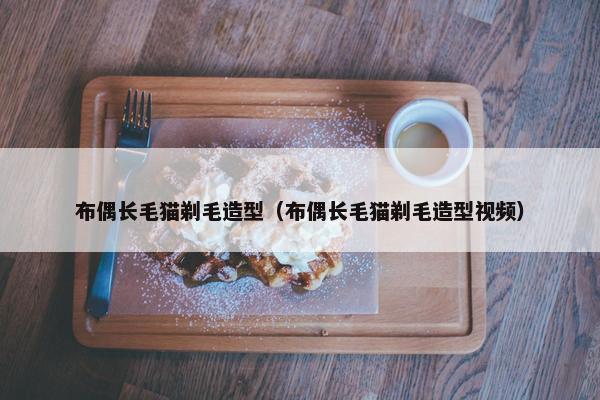 布偶长毛猫剃毛造型（布偶长毛猫剃毛造型视频）