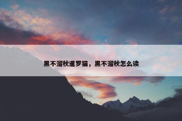 黑不溜秋暹罗猫，黑不溜秋怎么读