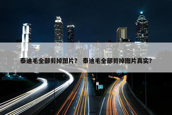 泰迪毛全部剪掉图片？ 泰迪毛全部剪掉图片真实？
