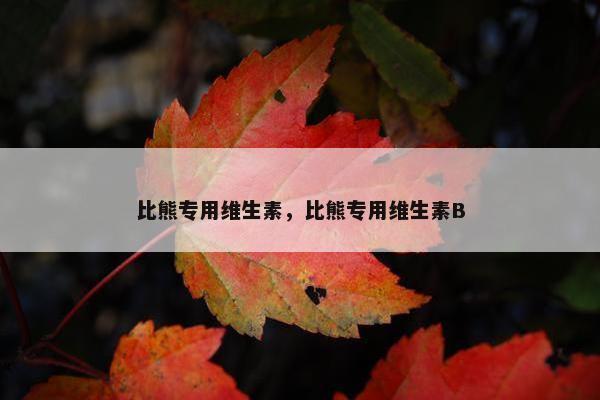 比熊专用维生素，比熊专用维生素B