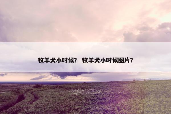 牧羊犬小时候？ 牧羊犬小时候图片？