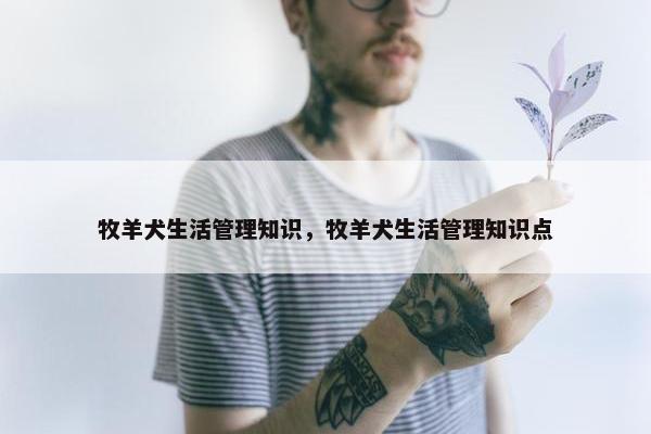 牧羊犬生活管理知识，牧羊犬生活管理知识点