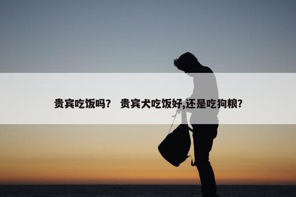 贵宾吃饭吗？ 贵宾犬吃饭好,还是吃狗粮？