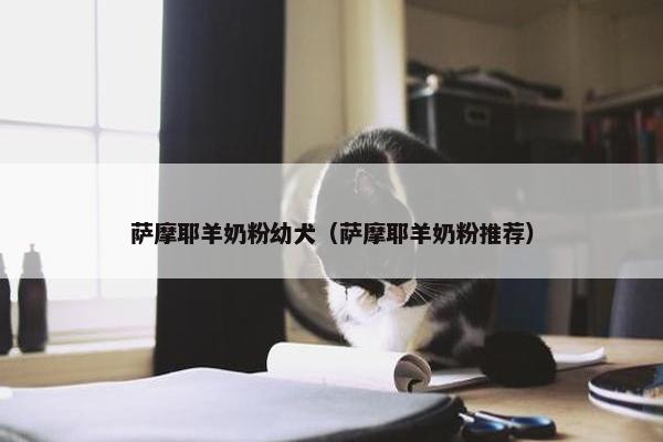 萨摩耶羊奶粉幼犬（萨摩耶羊奶粉推荐）