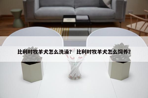 比利时牧羊犬怎么洗澡？ 比利时牧羊犬怎么饲养？