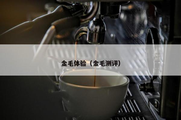 金毛体验（金毛测评）