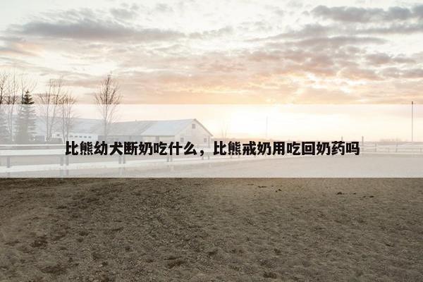 比熊幼犬断奶吃什么，比熊戒奶用吃回奶药吗