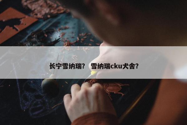 长宁雪纳瑞？ 雪纳瑞cku犬舍？