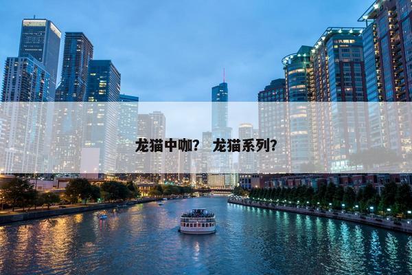 龙猫中咖？ 龙猫系列？