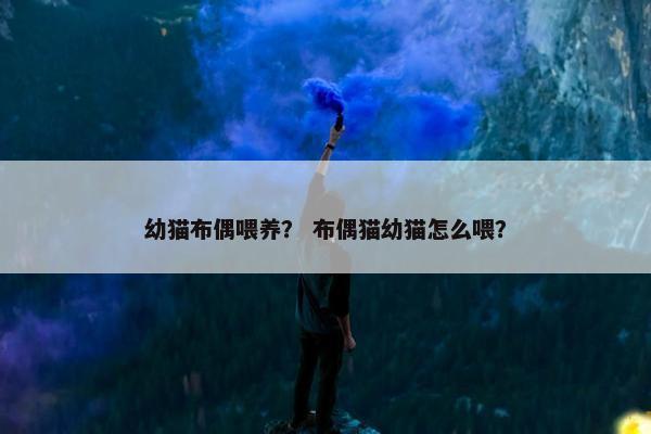 幼猫布偶喂养？ 布偶猫幼猫怎么喂？