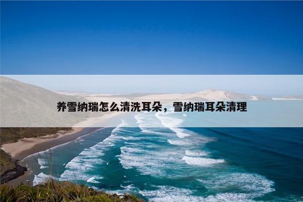 养雪纳瑞怎么清洗耳朵，雪纳瑞耳朵清理