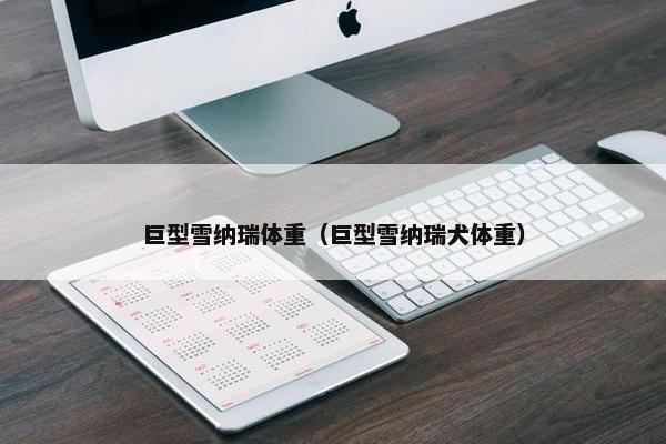 巨型雪纳瑞体重（巨型雪纳瑞犬体重）
