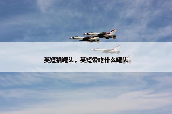 英短猫罐头，英短爱吃什么罐头