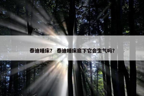 泰迪睡床？ 泰迪睡床底下它会生气吗？