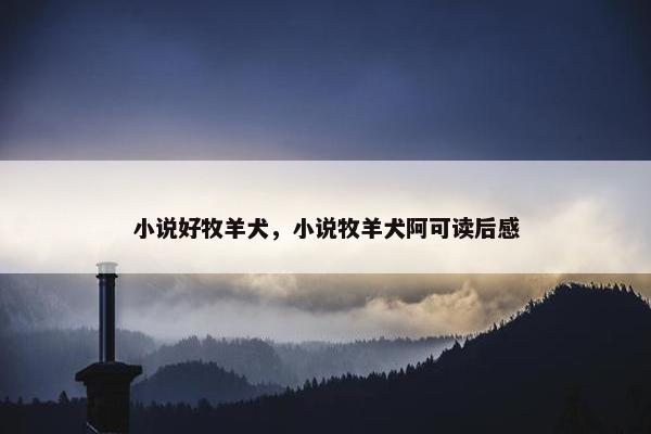 小说好牧羊犬，小说牧羊犬阿可读后感