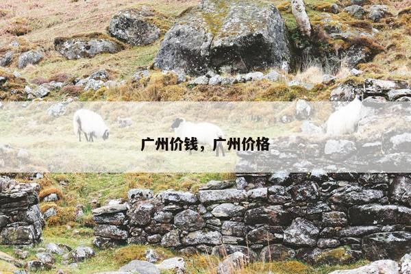 广州价钱，广州价格
