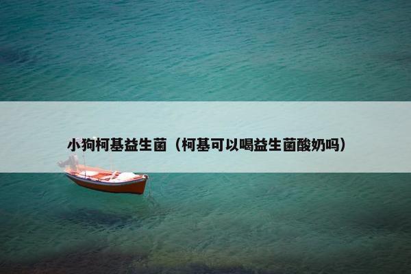 小狗柯基益生菌（柯基可以喝益生菌酸奶吗）