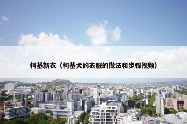 柯基新衣（柯基犬的衣服的做法和步骤视频）