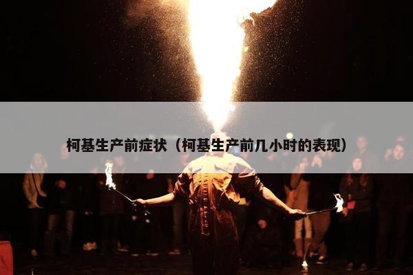 柯基生产前症状（柯基生产前几小时的表现）