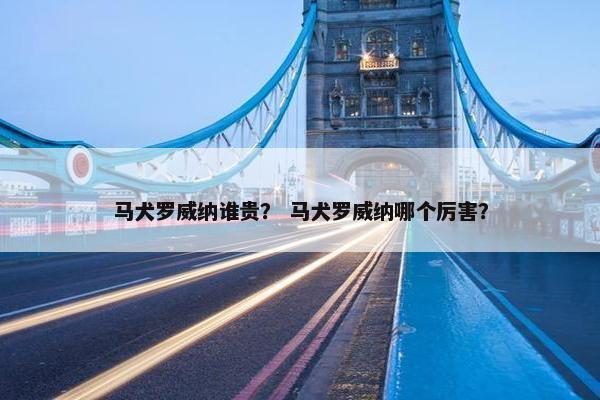 马犬罗威纳谁贵？ 马犬罗威纳哪个厉害？