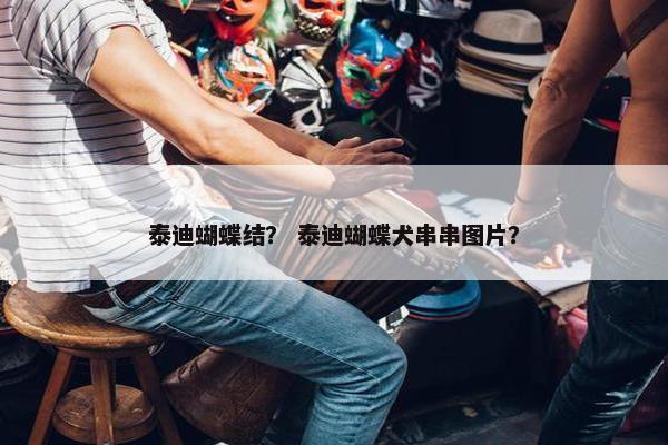 泰迪蝴蝶结？ 泰迪蝴蝶犬串串图片？