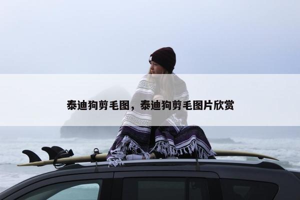 泰迪狗剪毛图，泰迪狗剪毛图片欣赏