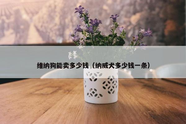 维纳狗能卖多少钱（纳威犬多少钱一条）
