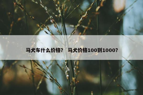 马犬车什么价格？ 马犬价格100到1000？