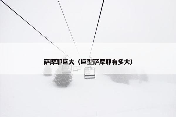 萨摩耶巨大（巨型萨摩耶有多大）
