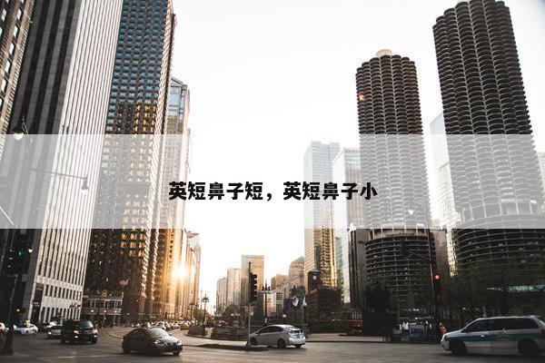 英短鼻子短，英短鼻子小