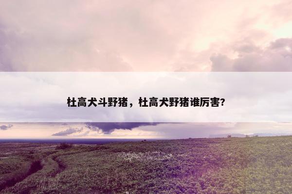 杜高犬斗野猪，杜高犬野猪谁厉害?