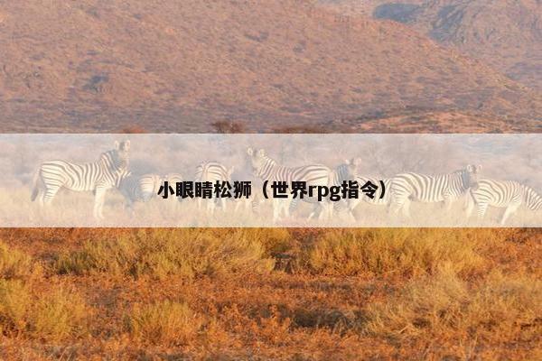 小眼睛松狮（世界rpg指令）