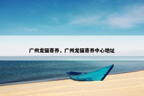 广州龙猫寄养，广州龙猫寄养中心地址