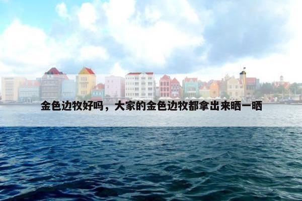 金色边牧好吗，大家的金色边牧都拿出来晒一晒