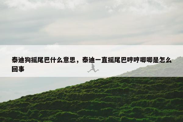 泰迪狗摇尾巴什么意思，泰迪一直摇尾巴哼哼唧唧是怎么回事