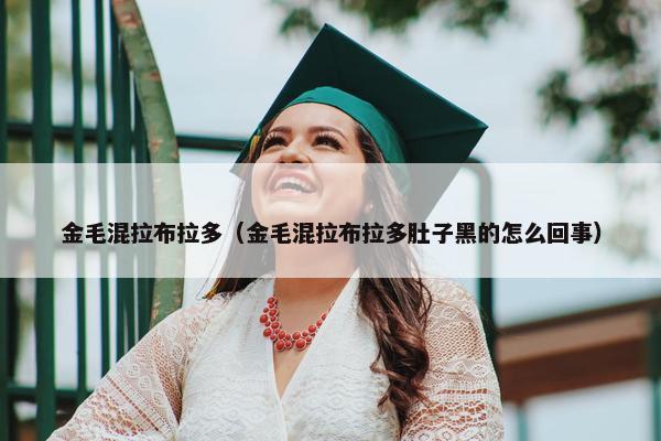 金毛混拉布拉多（金毛混拉布拉多肚子黑的怎么回事）
