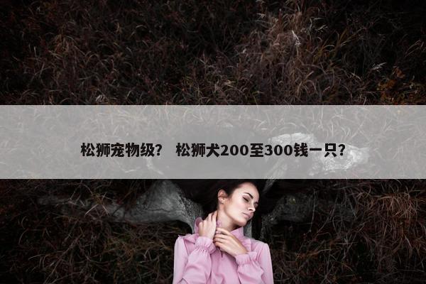 松狮宠物级？ 松狮犬200至300钱一只？