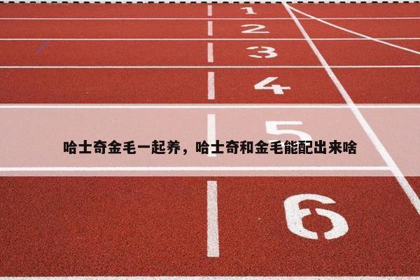 哈士奇金毛一起养，哈士奇和金毛能配出来啥
