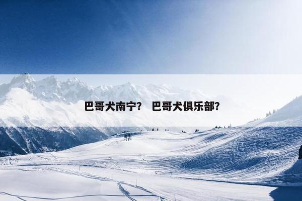 巴哥犬南宁？ 巴哥犬俱乐部？
