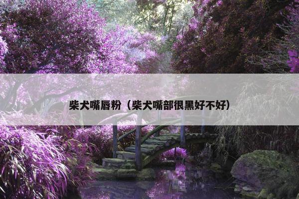 柴犬嘴唇粉（柴犬嘴部很黑好不好）