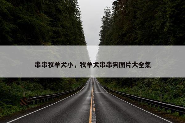 串串牧羊犬小，牧羊犬串串狗图片大全集