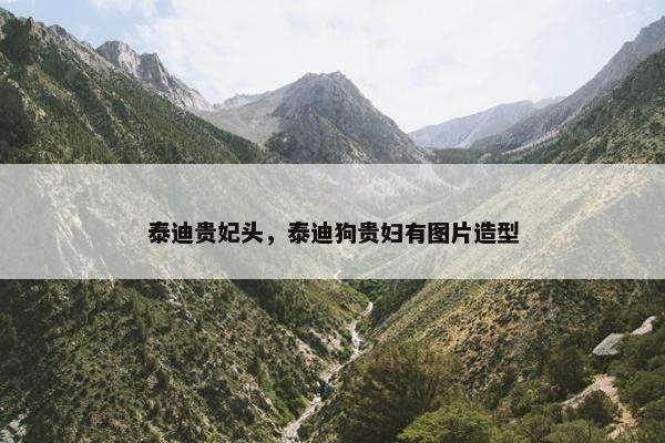 泰迪贵妃头，泰迪狗贵妇有图片造型