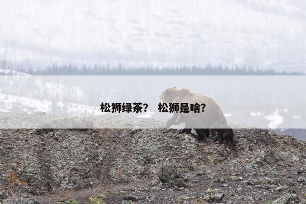 松狮绿茶？ 松狮是啥？