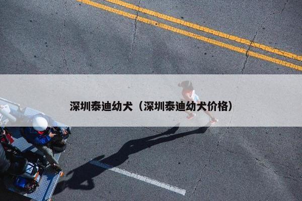 深圳泰迪幼犬（深圳泰迪幼犬价格）