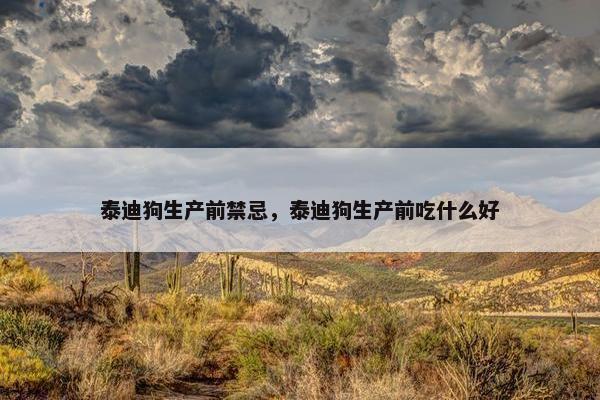 泰迪狗生产前禁忌，泰迪狗生产前吃什么好