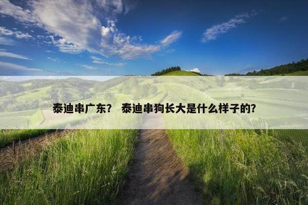 泰迪串广东？ 泰迪串狗长大是什么样子的？